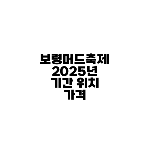 보령머드축제 2025년 기간 위치 가격